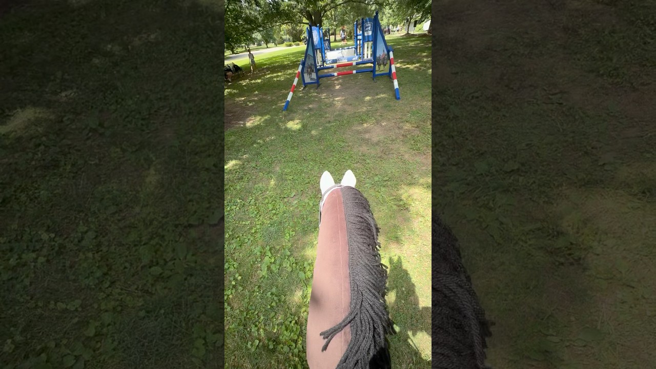 Are We Staying on Beat? 🎶 Check Out Our Hobby Horse Skills!