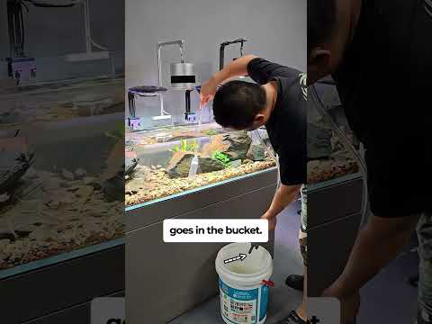 Siphon Gravel Cleaner for your aquarium