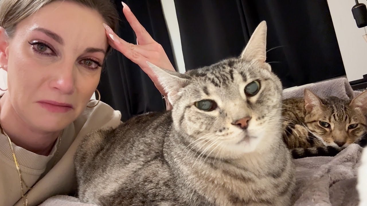 Alert! Issue Detected π¨