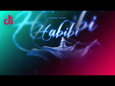 Gheboasa x YNY SEBI - Habibi (TIKTOK VERSION)