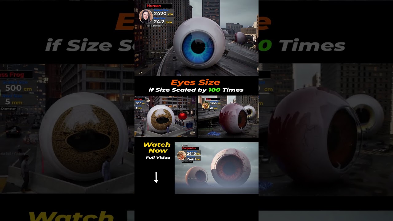 Eyes Size Comparison at 1000x Scale | #trailer