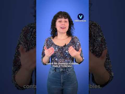 Des bonbons "piégés" distribués aux enfants pour Halloween ? |TF1 INFO