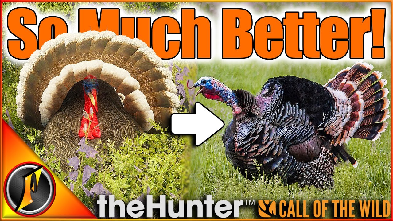 Realistic Turkey Hunting in theHunter Call of the Wild π¦