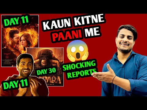 Thamma Movie Day 11 Box Office Collection | Ek Deewane Ki Deewaniyat Day 11 Box Office Collection