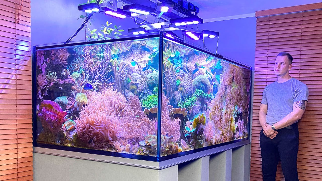 German Reef Tank