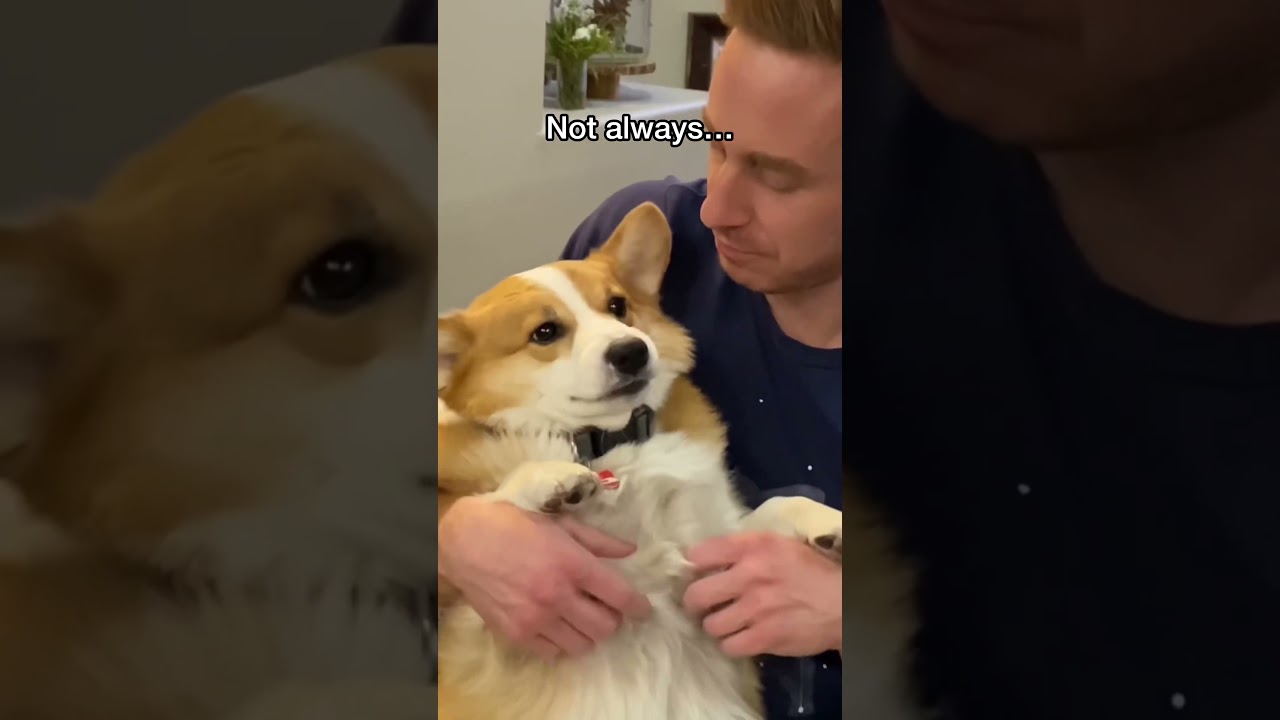 He Can Be a Moody Boy!