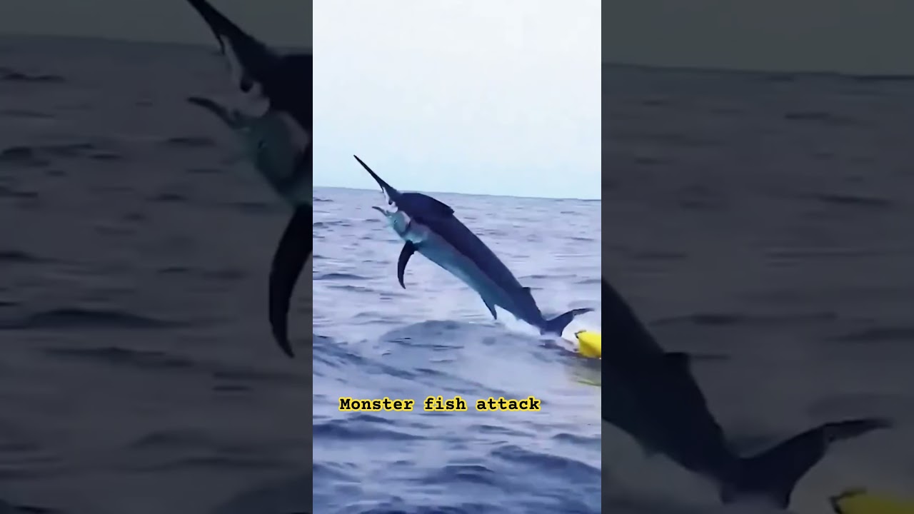 Fish Attack! 🐟 Amazing Underwater Action