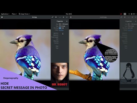 Hide Secret Message Inside Photo  |#Steganography| |#MrRobot| using kali linux