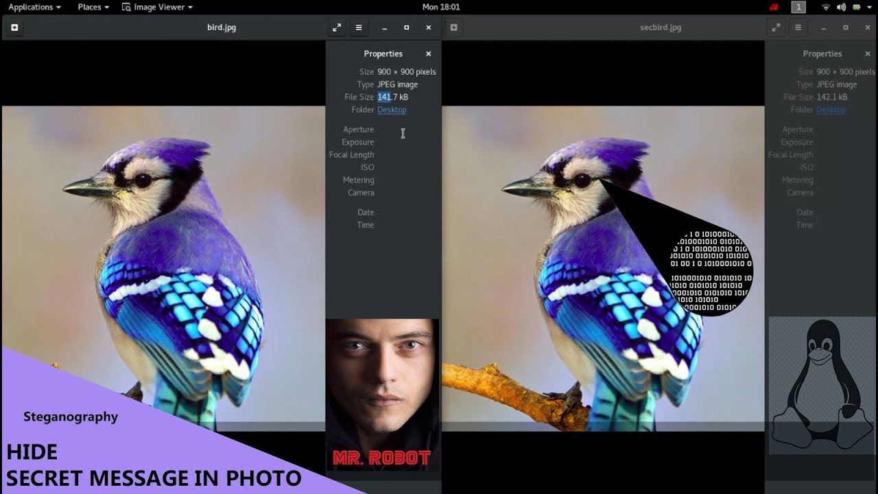 Hide Secret Messages Inside Photos Using Kali Linux 🖼️