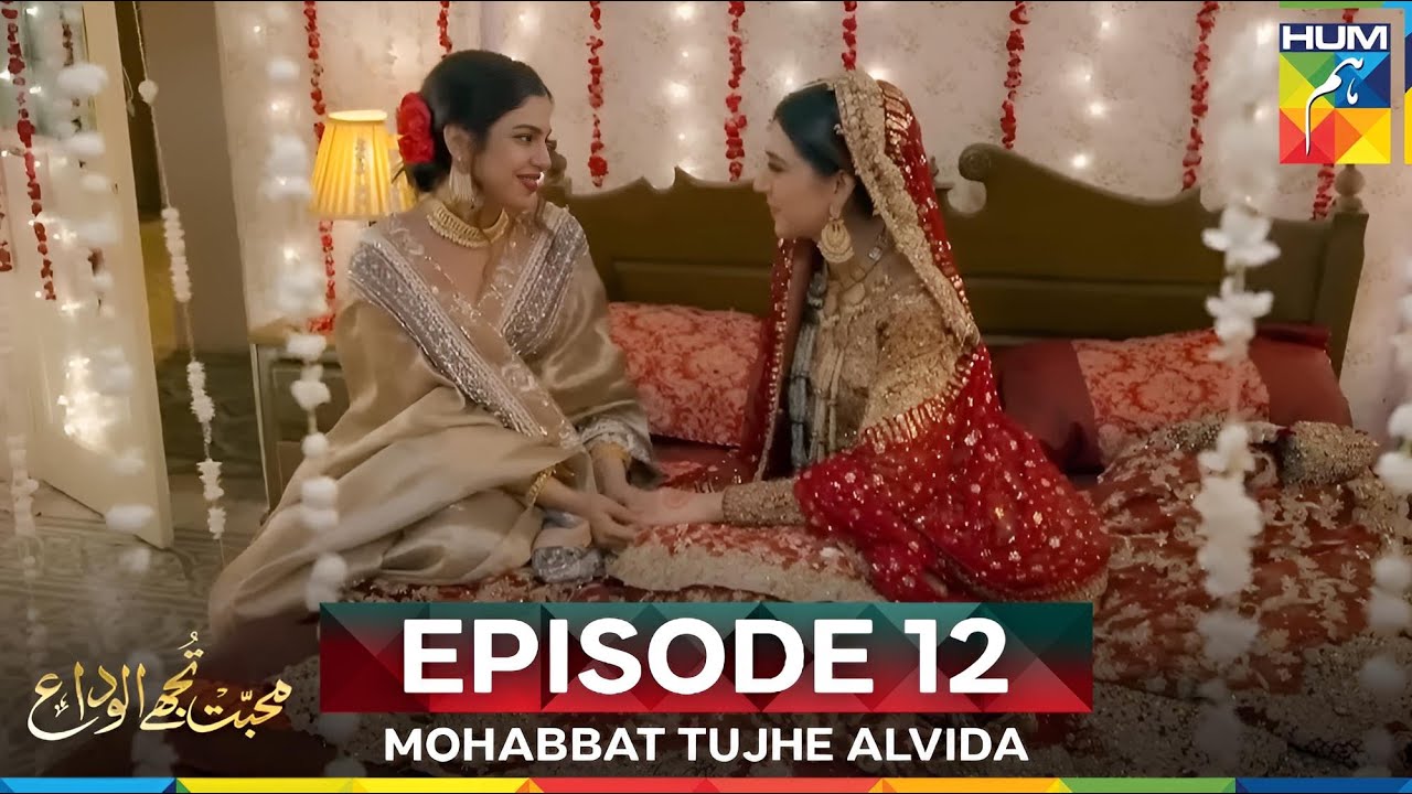 Mohabbat Tujhe Alvida Episode 12 – Watch Full Episode Now! 🎥