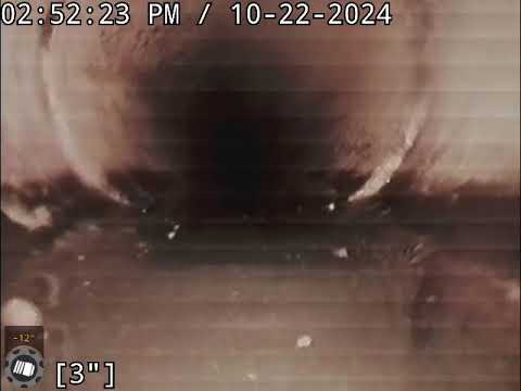 2094 Iris St Lakewood