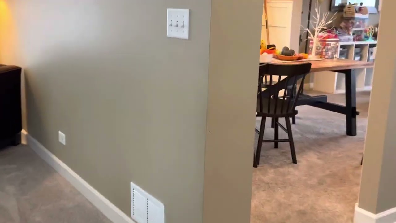 There is a mouse in the house