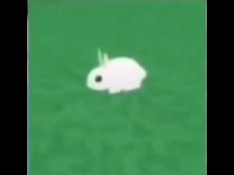 GO F#%@ YOURSELF rabbit meme