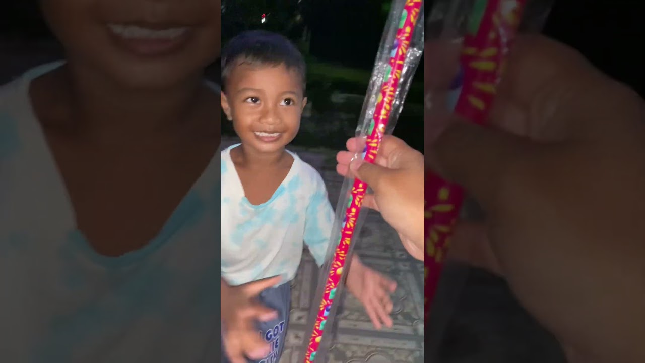 Sibocil's Amazing Fireworks Show 🎆 #Shorts