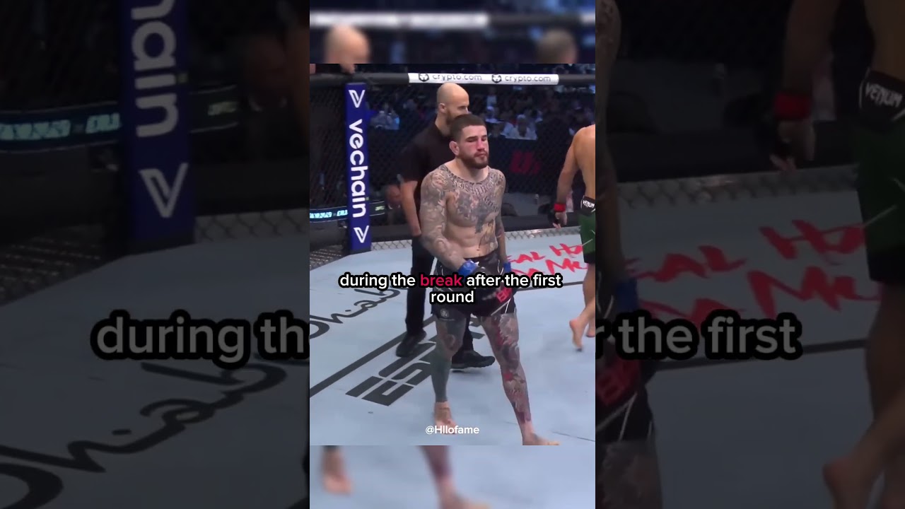 Khabib's Tactics End Sean Brady's Undefeated Streak 🥋
