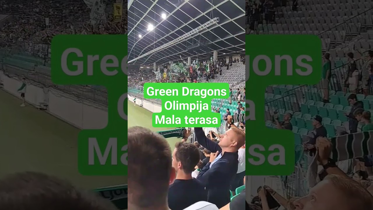Mala terasa by Green dragons in Stožice #greendragons #malaterasa #olimpija