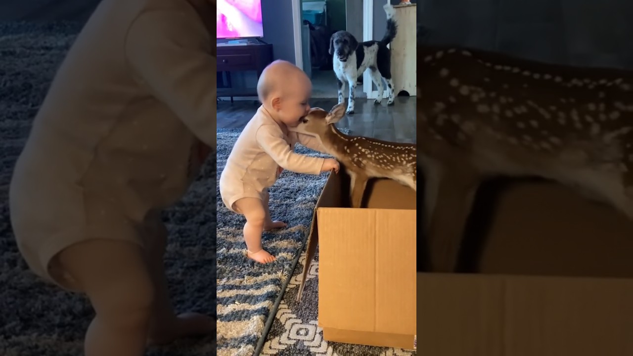 Baby Funny Moments 😂🍼