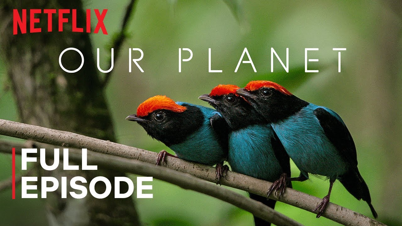 Our Planet 🌍 | Full Episode on Netflix
