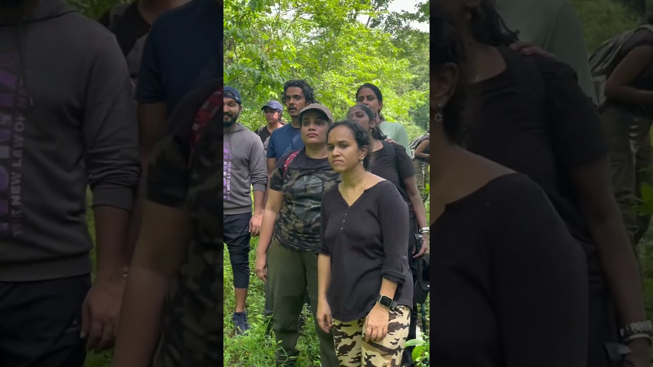 Chimmini Wildlife Sanctuary Forest Trek 🐾