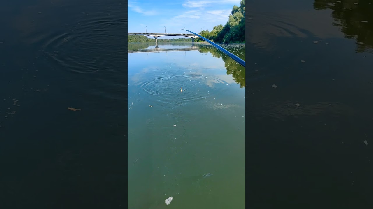 Рыбалка: как быстрее вытаскивать рыбу 🎣