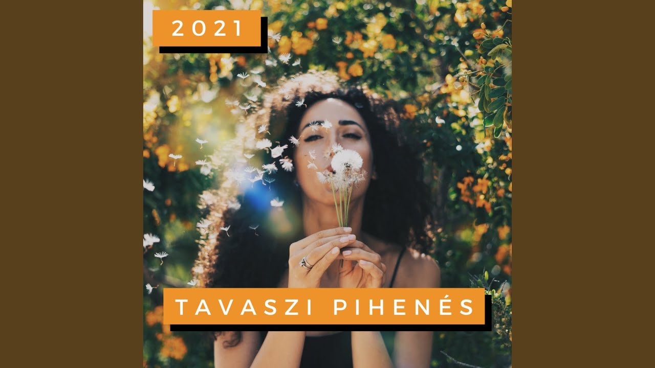 Sugar by Maroon 5 🎶 (2021 Release)