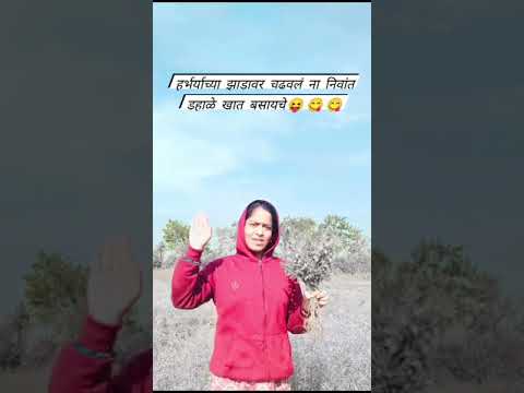 Harbharyachya झाडावर आरामदायक डहाळे 🤣