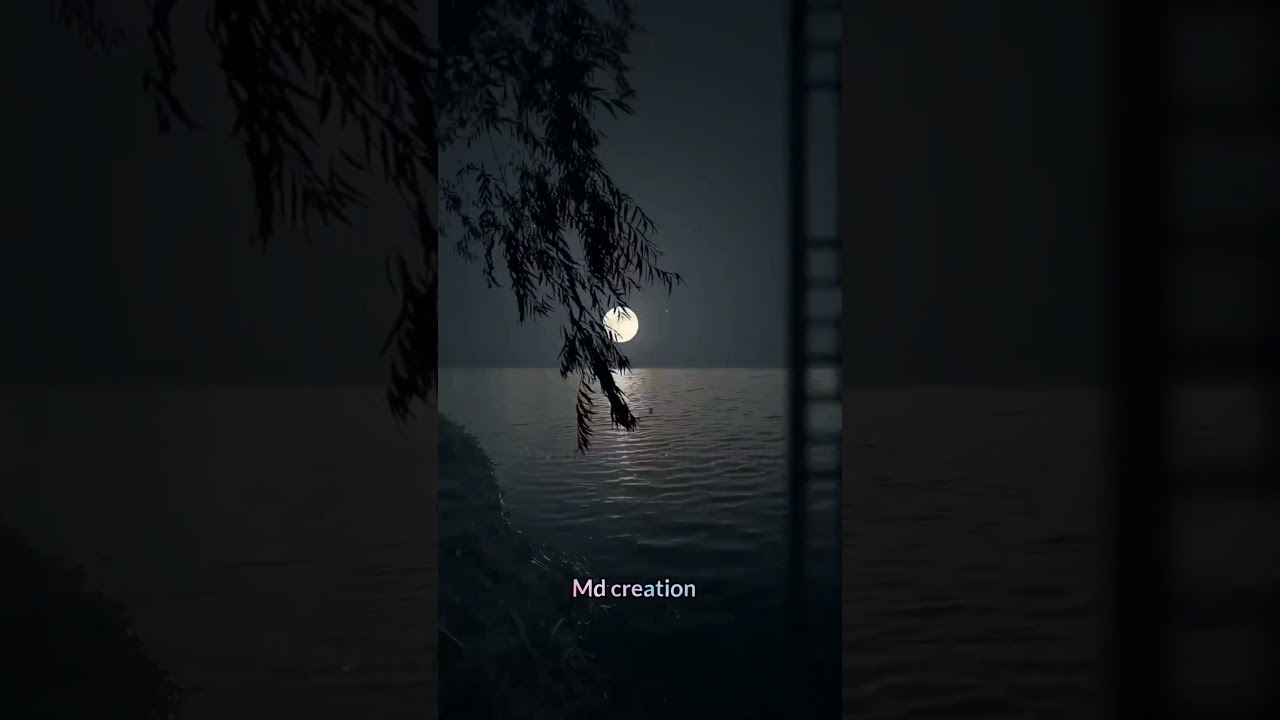 Dil Apna Aur Preet Parai Song by Lata Mangeshkar 🎶