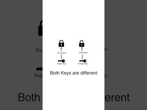 RSA ENCRYPTION | 5 Algorithms that a changed the World