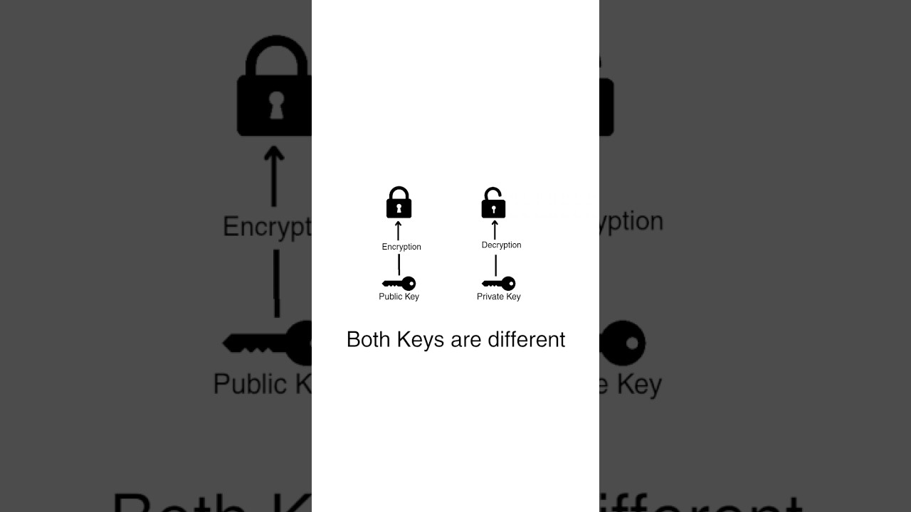 RSA Encryption & 4 Game-Changing Algorithms That Transformed the World 🔐