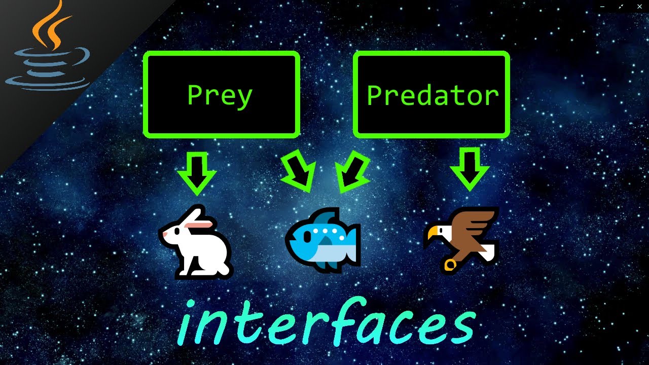 Java Interface Tutorial 🦅