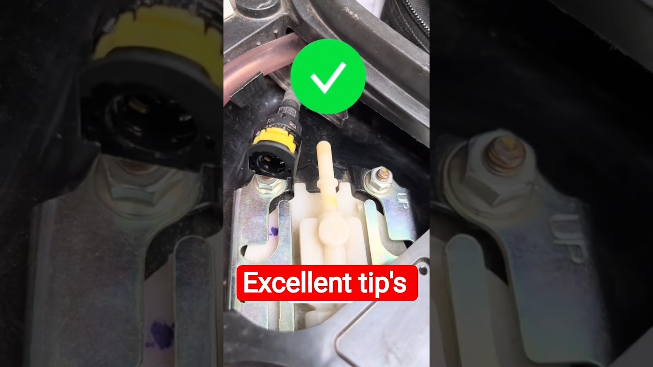 Must-See Professional Workshop Skills 🔧