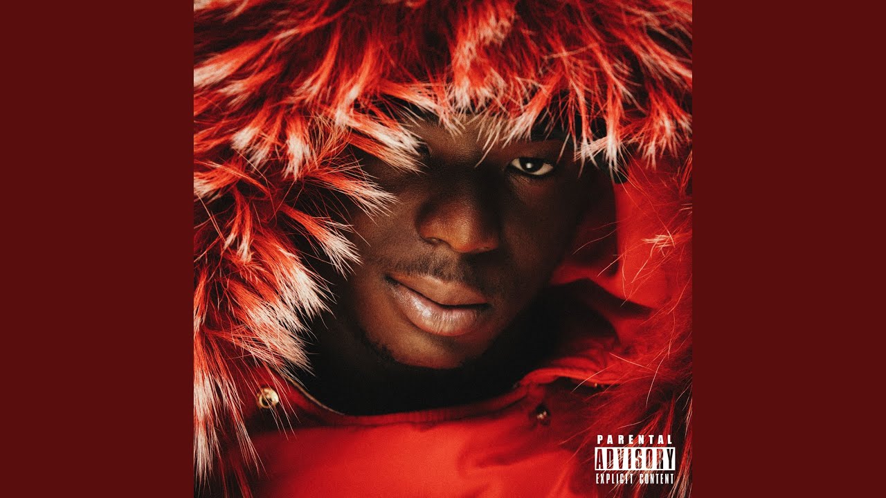 Ninho - Pourquoi (Official Audio) 🎶