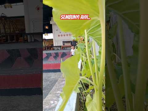 sembunyi ahh #shorts #sembunyi