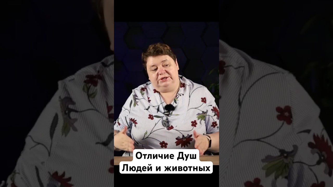 Душа Человека и Душа Животного: Основные Отличия