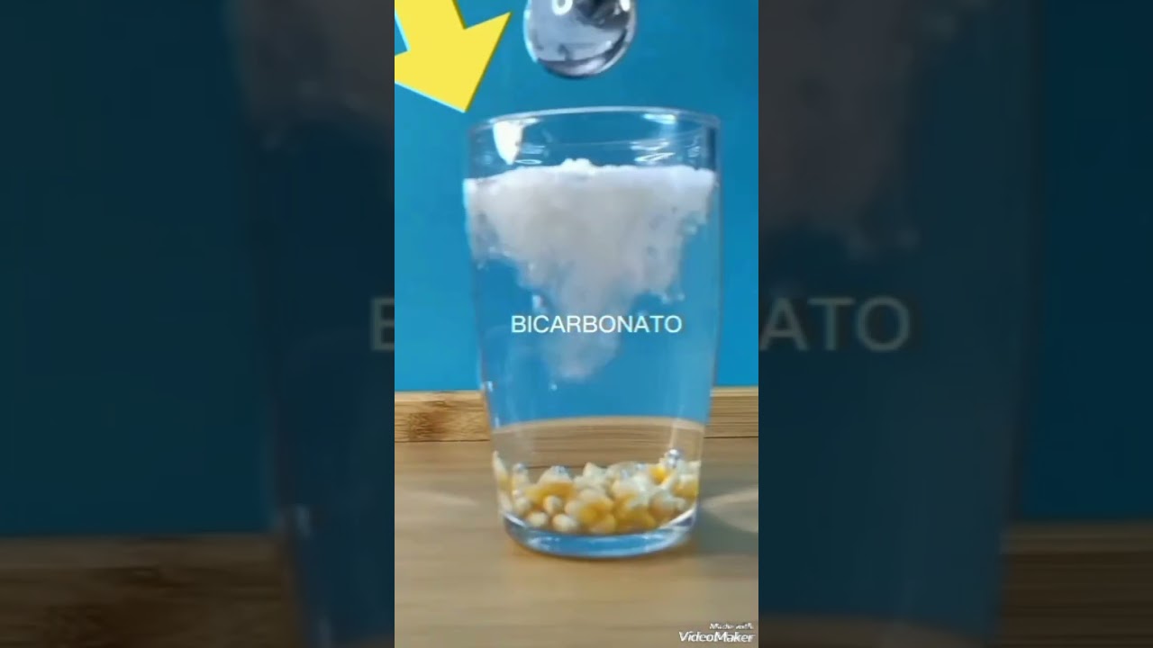 Experimento de Reacción Química que Hace Flotar el Maíz