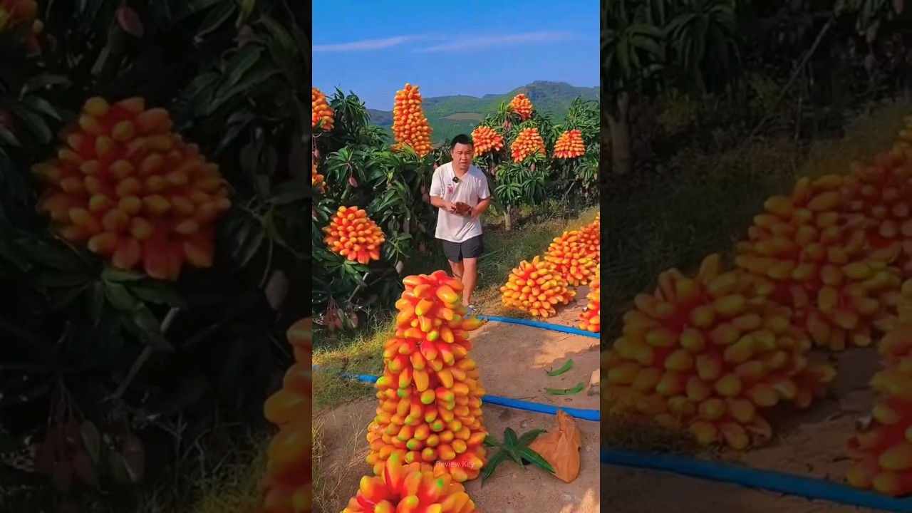 China's Fake Fruits Explained π
