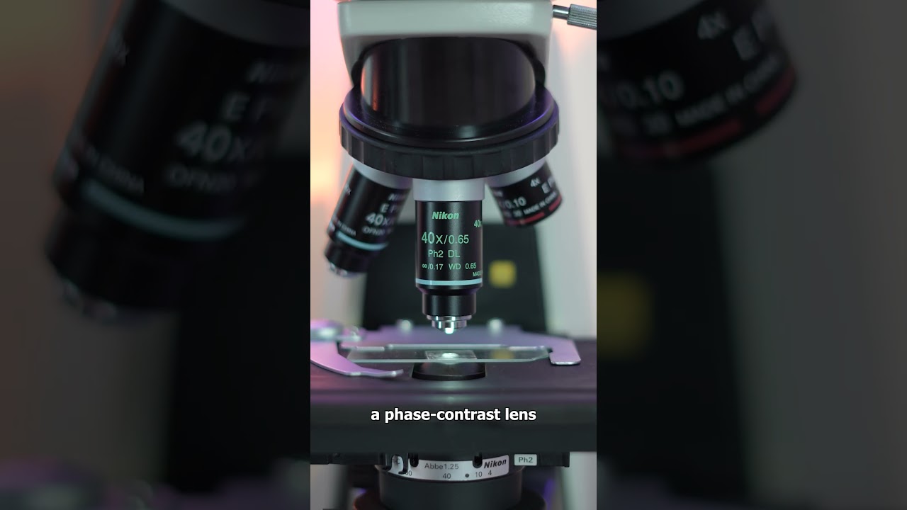 Avoid Raw Cow's Milk: Health Risks 🚫