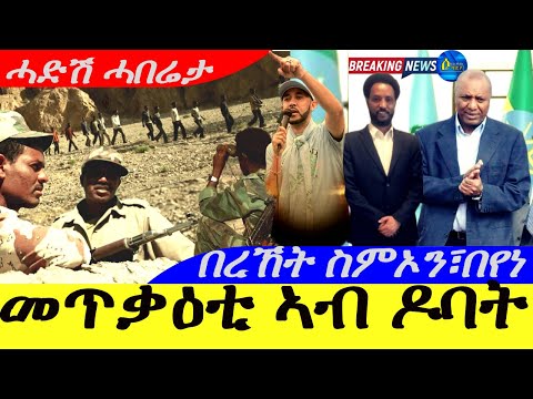 Aug 27,2025-መጥቃዓቲ ኣብ ዶባት ኣብ ልዕሊ ሰምሰርቲ | በረኸት ስምኦን፣በየነ ኣሜርካ | ሓድሽ ሓበሬታ |