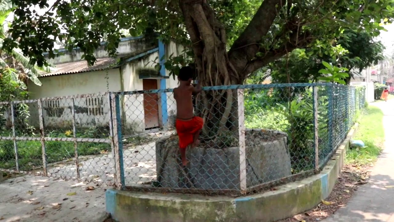 Bhokatta: A Short Film for Children