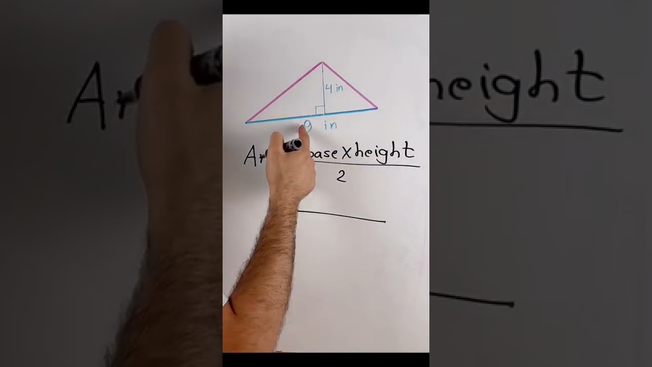Triangle Area Calculation π