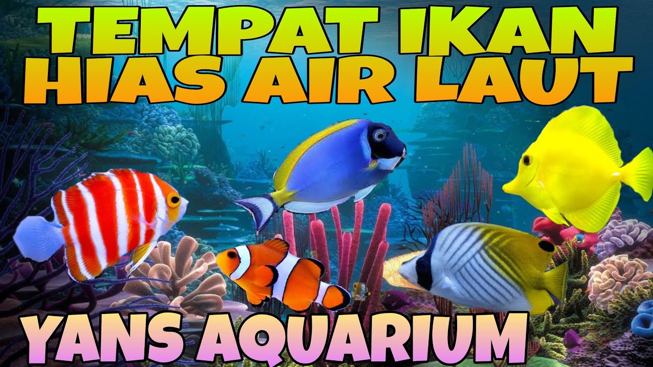 Jenis Hias Laut Aquarium & Harga Terbaru 🌊