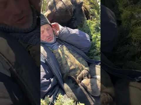 Медведь Маша и хозяин Михаил с медвежатами 🐻