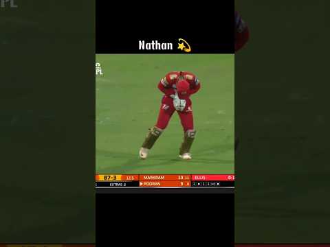 Nathan Ellis 💫 #cricket #shortsfeed #shorts #ytshorts