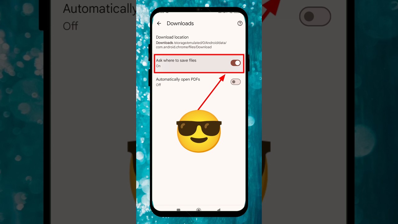 Google Chrome Download Settings and File Save Location | Short