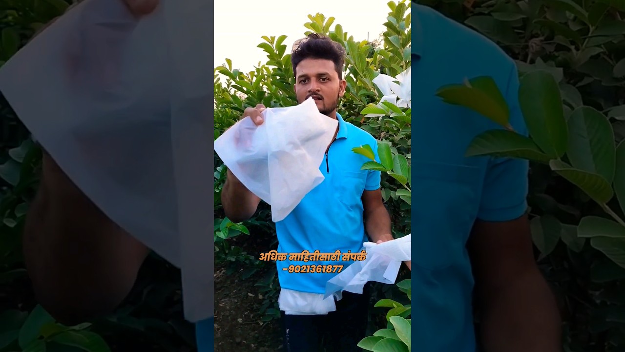 पेरूला फोम बँग लावण्याची गरज