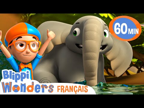 Les éléphants | | Blippi en français | Vidéos éducatives pour enfants