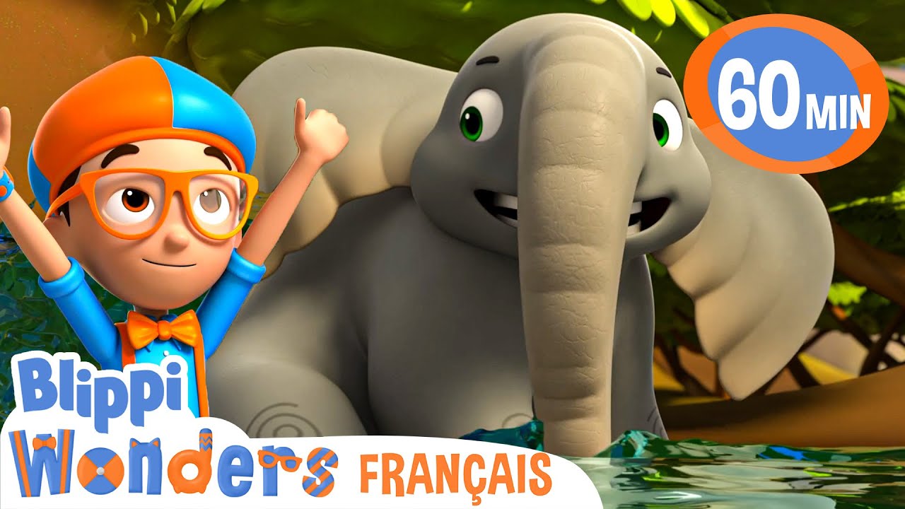 Les éléphants | Blippi en français | Vidéos éducatives pour enfants