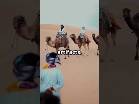 Top 5 Must-Do Activities in Tunis!