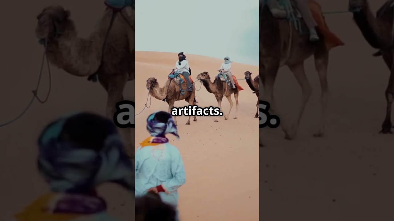 Top 5 Discover the Top 5 Must-Do Activities in Tunis 🇹🇳