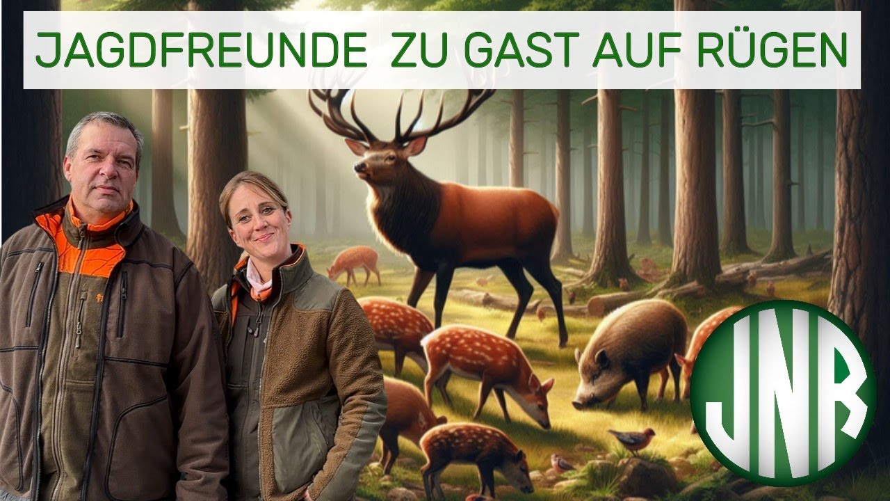 Unvergessliche Jagdtage auf Rügen: Freunde aus Lippe erleben Natur pur 🦌